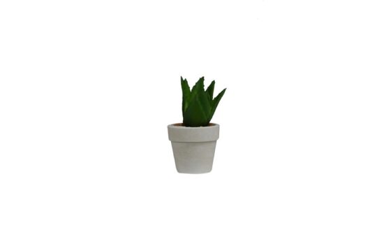 Fioriepianteartificiali_VilladEste_VasoCactus2_A